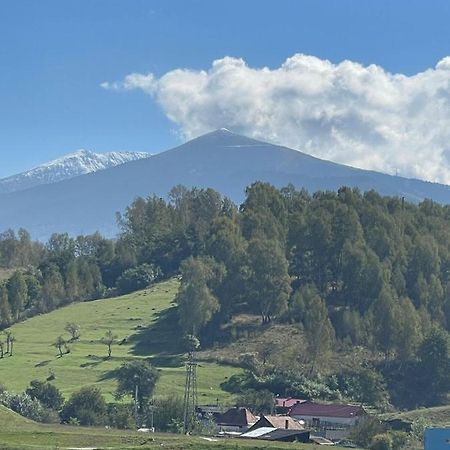Apartmán Garsoniera Sky Petrila Exteriér fotografie